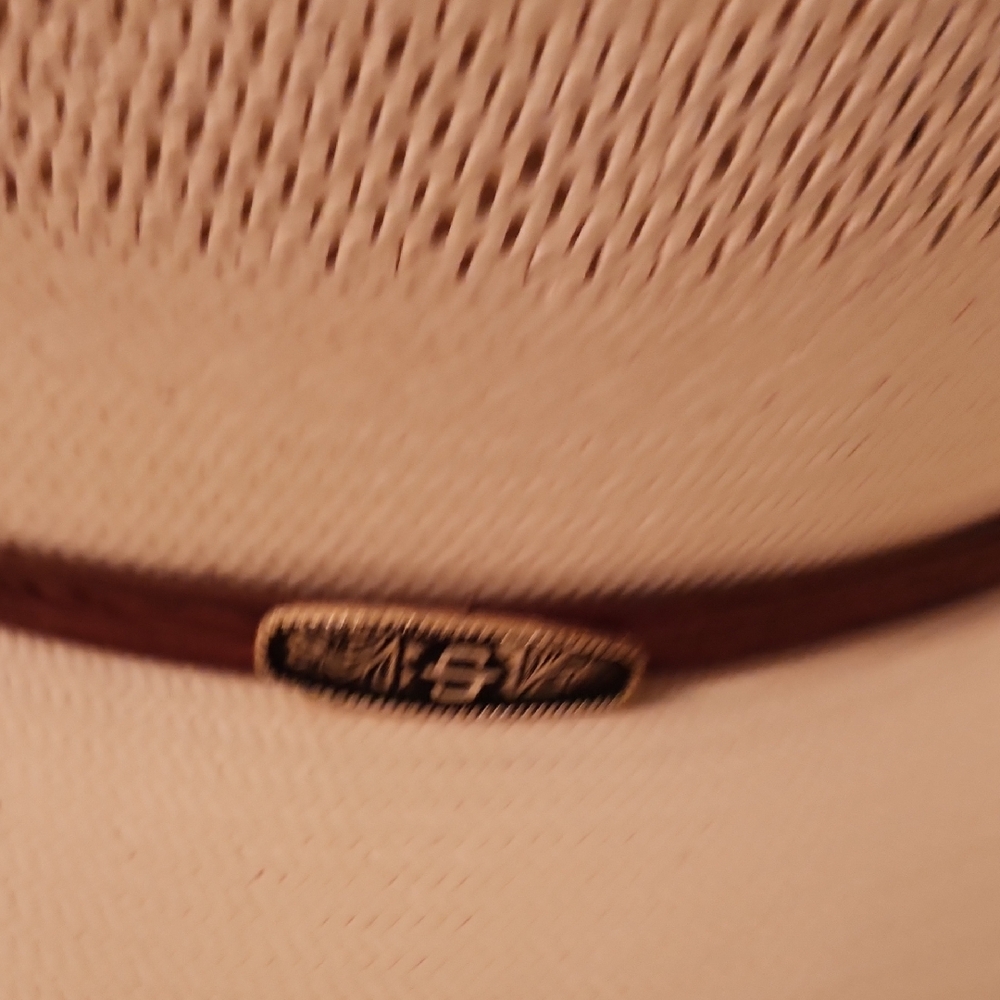 Stetson Beige Western Hat with Brown Band - Picture 6 of 10